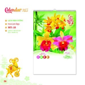 Lịch Treo Tường Lò Xo 2027 MT Mẫu MT25 (40 x 60cm) in logo doanh nghiệp quà tặng Tết